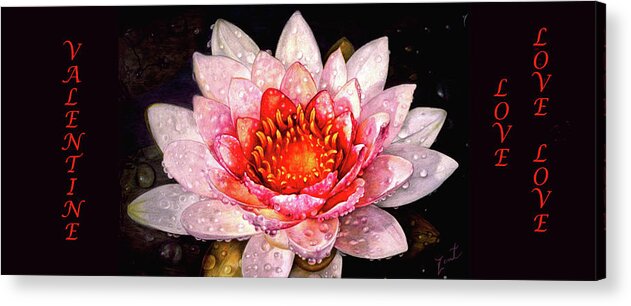 #love #love #love #rain #kissed #lotus #blossom #with #added #writing Acrylic Print featuring the mixed media Valentine Love Love Love by June Pauline Zent