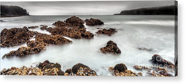 Nature Acrylic Print featuring the photograph Grey Morning #2 by Steven Reed