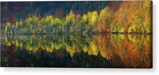 Autumn Acrylic Print featuring the photograph Autumnal Silence by Burger Jochen