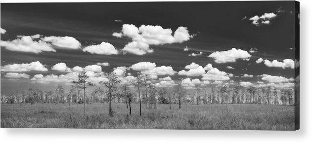 Everglades Acrylic Print featuring the photograph Big Cypress Prairie by Jon Glaser