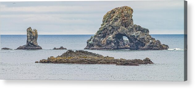 State Park Acrylic Print featuring the tapestry - textile Oregon Coast Ecola State Park by Dennis Bucklin