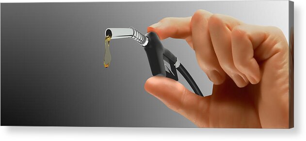 Photography Acrylic Print featuring the photograph Persons Hand Holding Tiny Gas Pump by Panoramic Images