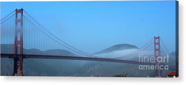 San Fransisco Acrylic Print featuring the photograph Golden Gate Bridge Panorama by Wilko van de Kamp Fine Photo Art