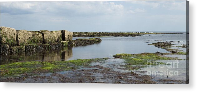 Lyme Acrylic Print featuring the photograph Lyme Regis by Wendy Wilton