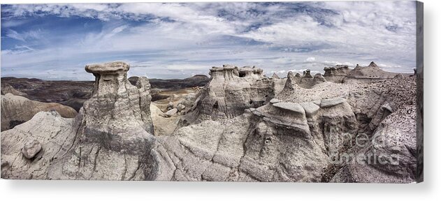 Petrified Forest Acrylic Print featuring the photograph The Sandcastles by Melany Sarafis