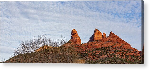 Arizona Acrylic Print featuring the photograph Sedona Red Rocks 4 by Randy Bayne