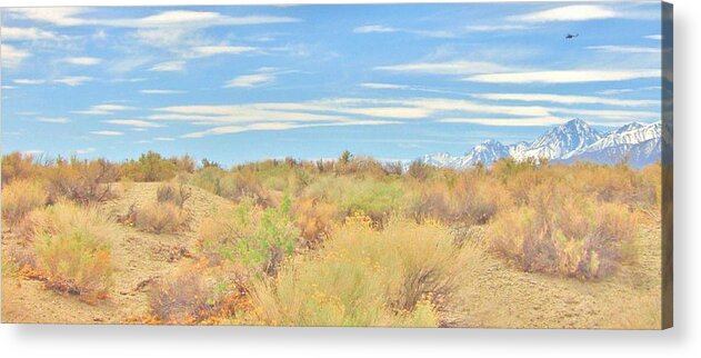 Sky Acrylic Print featuring the photograph Flying High #1 by Marilyn Diaz