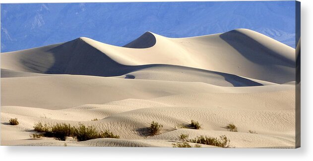 Death Valley National Park Acrylic Print featuring the photograph Death Valley Sand Dunes by Amelia Racca
