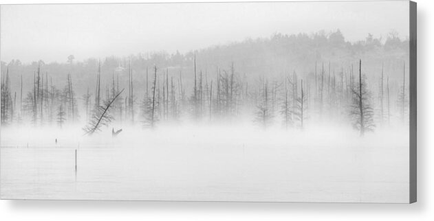 Black And White Trees Acrylic Print featuring the photograph Ghost Trees V by David Waldrop