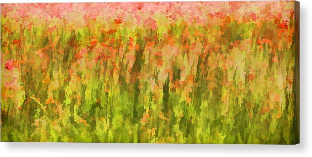 Canvas Acrylic Print featuring the painting Poppies of Tuscany III by David Letts