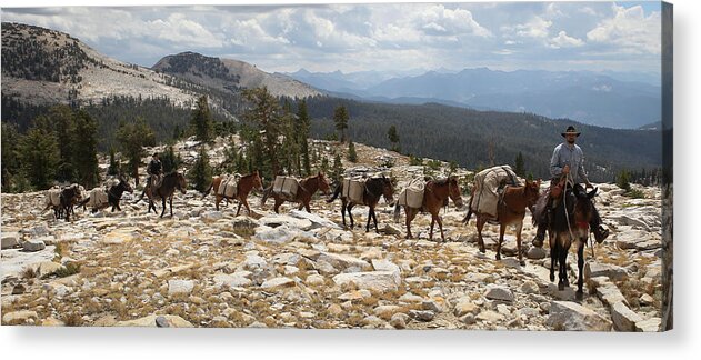  Acrylic Print featuring the photograph Sierra Trails - 2 by Diane Bohna