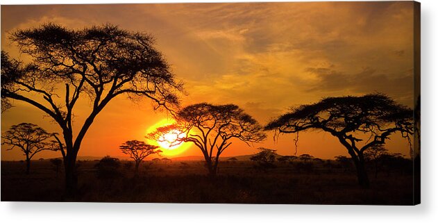 Scenics Acrylic Print featuring the photograph Sunset In The Serengeti by Mb Photography
