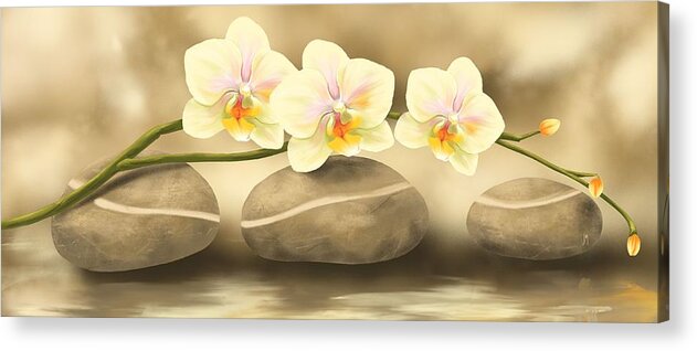 Orchid Acrylic Print featuring the painting Trilogy by Veronica Minozzi