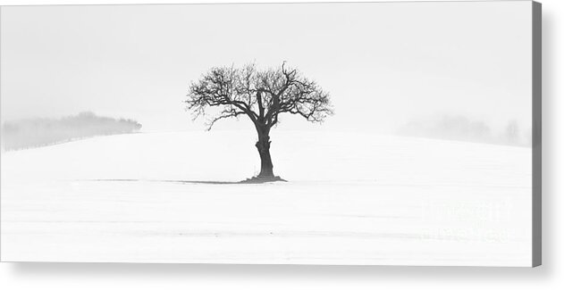 Kingthorpe Acrylic Print featuring the photograph Lone Tree Kingthorpe by Richard Burdon