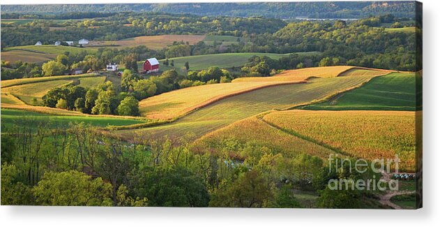 Iowa Acrylic Print featuring the photograph Iowa - Grant Wood Country by Ron Long