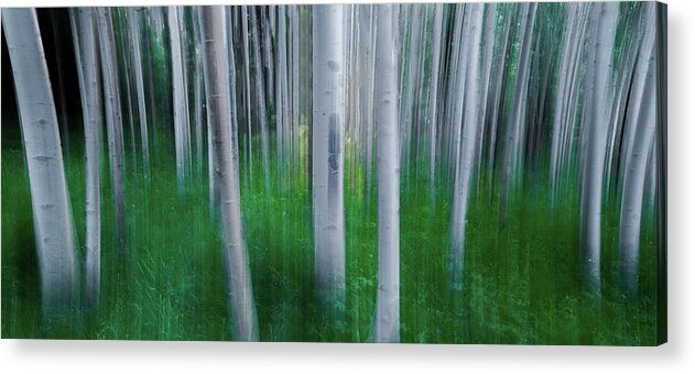Tree Acrylic Print featuring the photograph Artistic Aspens Panorama by Larry Marshall