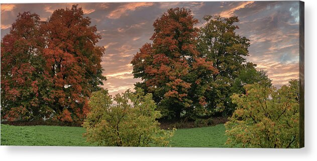Canada Acrylic Print featuring the photograph Fall colors #3 by Nick Mares