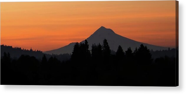 Oregon Acrylic Print featuring the photograph Portland Orange Morning by Loyd Towe Photography