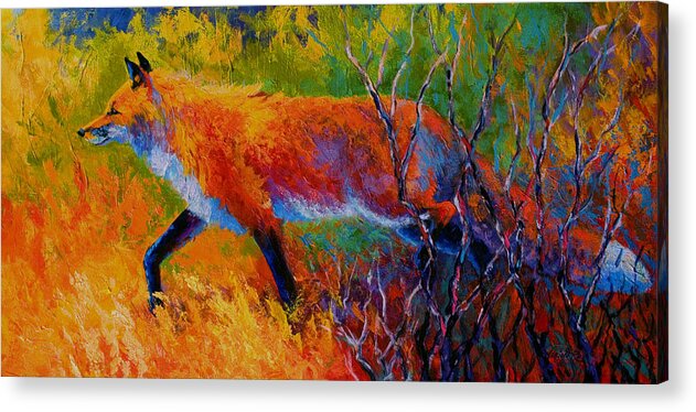 Red Fox Acrylic Print featuring the painting Foxy - Red Fox by Marion Rose