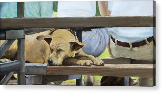 Dog Acrylic Print featuring the painting Naptime in the Bleachers by Linda Tenukas