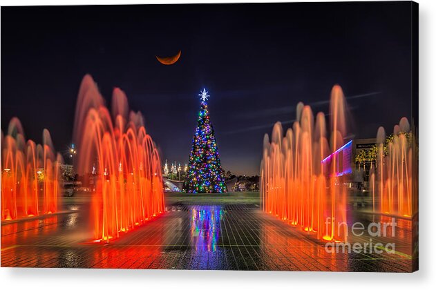Tampa Acrylic Print featuring the photograph Christmas Tree In Curtis Hixon Park by Jason Ludwig Photography