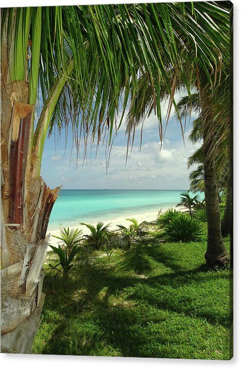 Bimini Acrylic Print featuring the photograph Inviting Bimini Beach Between 2 Palm Trees by Dan Podsobinski