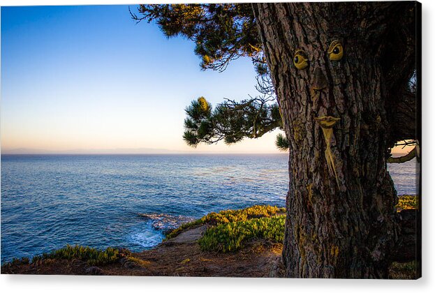 Santa Cruz Acrylic Print featuring the photograph Along the Way by Tommy Farnsworth