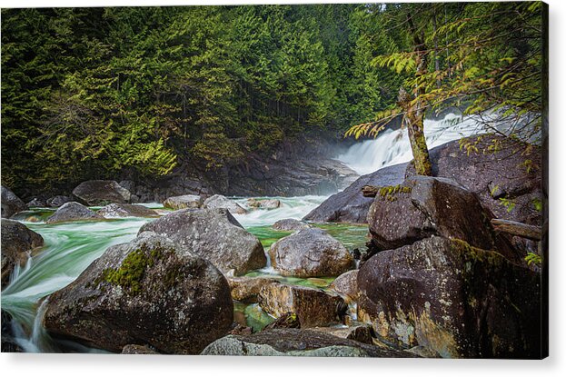_canada-golden-ears Acrylic Print featuring the photograph The Woods #13 by Tommy Farnsworth