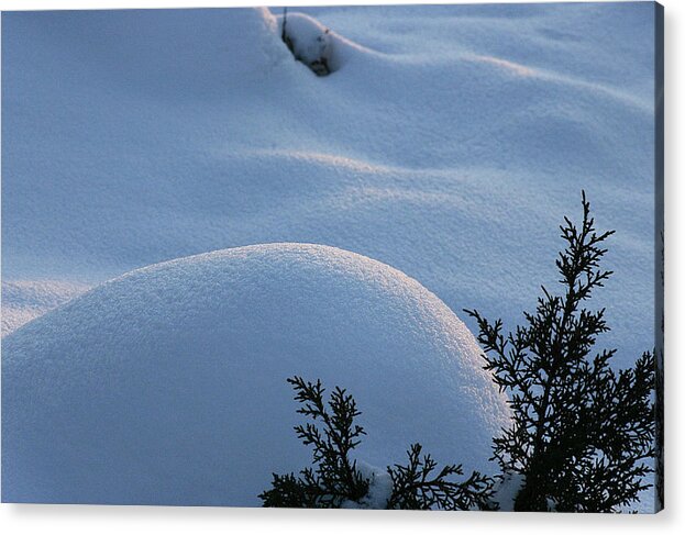 Snow Acrylic Print featuring the photograph Fresh Snow by Tommy Farnsworth