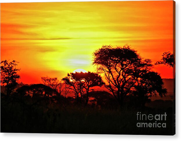 Serengeti Acrylic Print featuring the photograph Serengeti Sunset by Bruce Block