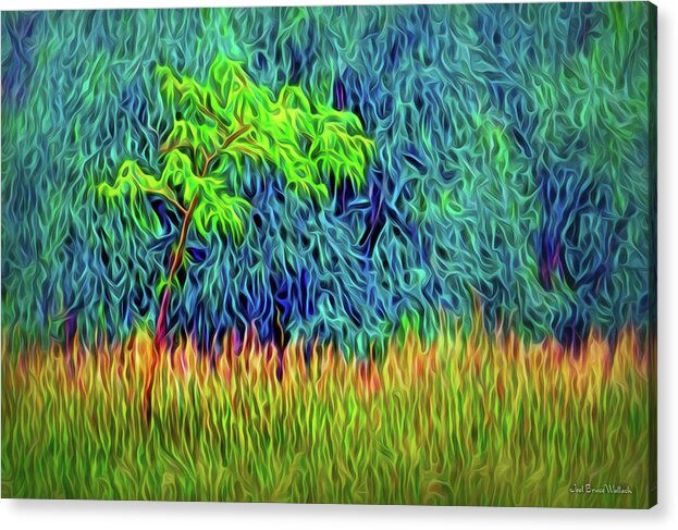 Joelbrucewallach Acrylic Print featuring the digital art Summer Breeze Dream by Joel Bruce Wallach