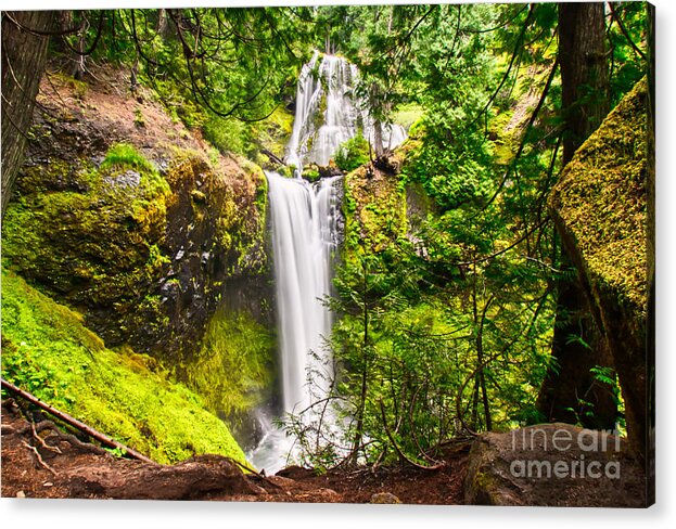  Washington State Acrylic Print featuring the photograph Falls Creek Falls by Bruce Block