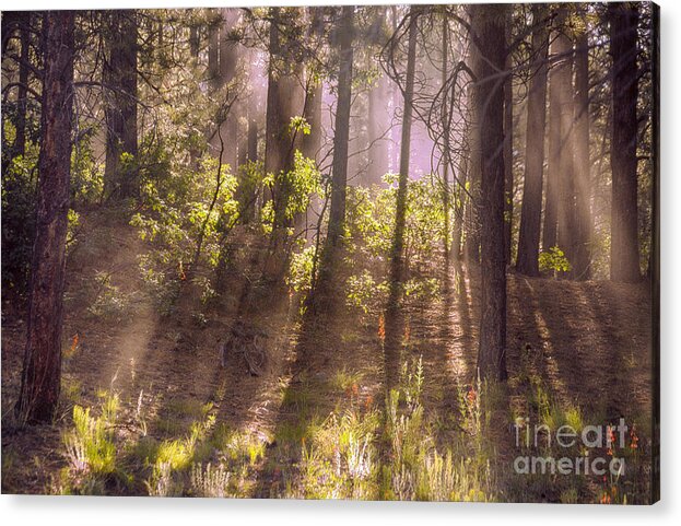 Colorado Acrylic Print featuring the photograph Colorado Evening by Kype Hills