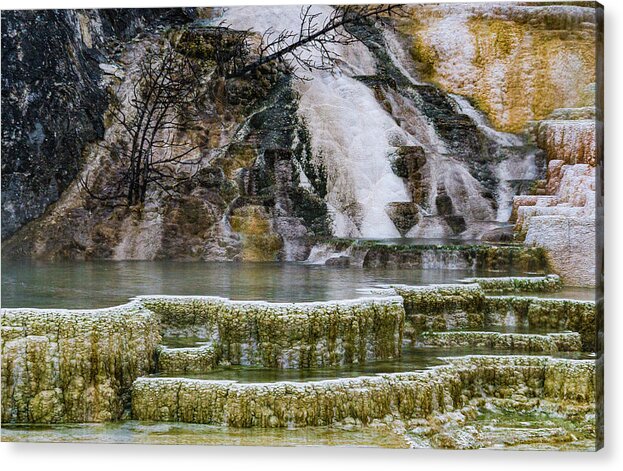 _earthscapes Acrylic Print featuring the photograph Mammoth Hot Springs #2 by Tommy Farnsworth