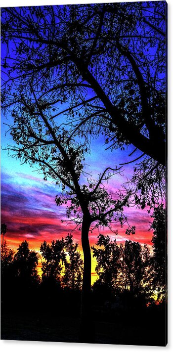 Kenneth James Acrylic Print featuring the photograph Good Night Leaves In Fall by Kenneth James