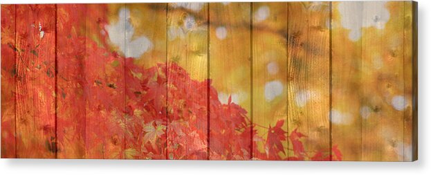 Autumn Acrylic Print featuring the photograph Autumn Outdoors 1 of 2 by Beverly Claire Kaiya