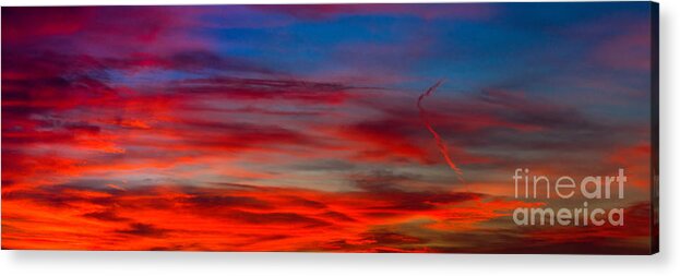 Sunset Acrylic Print featuring the photograph Color by Anthony Michael Bonafede