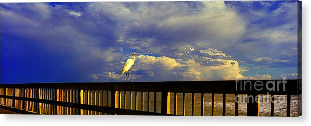 Daytona Acrylic Print featuring the photograph Daytona Beach Rail Bird Sun Glow Pier by Tom Jelen