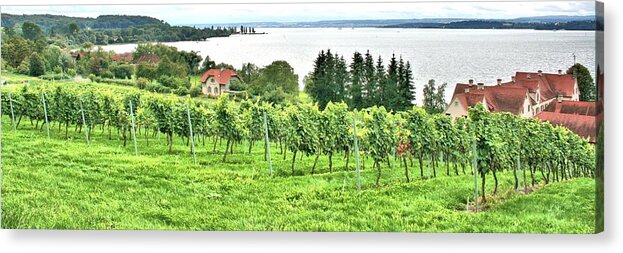 1445 Acrylic Print featuring the photograph Lake Constance by Gordon Elwell