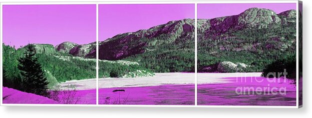 Purple Winter Triptych Acrylic Print featuring the photograph Purple Winter Triptych by Barbara A Griffin