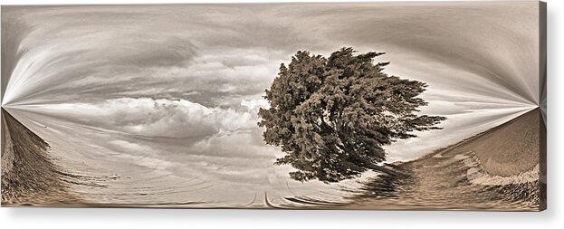 Tree Acrylic Print featuring the photograph Tree by Andrei SKY