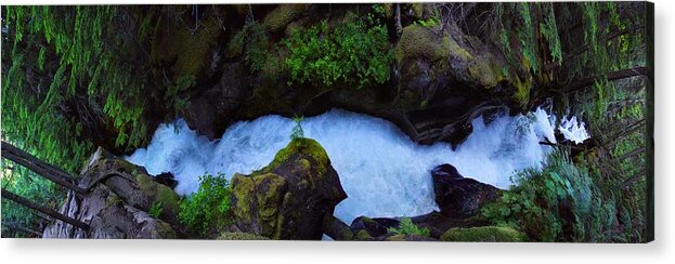 Avalanche Creek Acrylic Print featuring the photograph Which Way by David Andersen