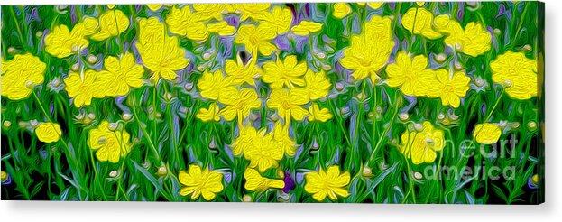 Daisies Acrylic Print featuring the mixed media Yellow Wild Flowers by Jon Neidert