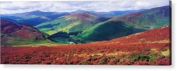 Beauty Acrylic Print featuring the photograph Wicklow Way, Co Wicklow, Ireland Long #1 by The Irish Image Collection 