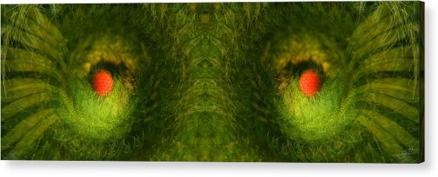 Panorama Acrylic Print featuring the photograph Eyes of the Garden-2 by Doug Gibbons