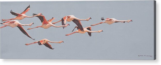 Wildlife Paintings Acrylic Print featuring the painting Flamingos in Flight by Alan M Hunt