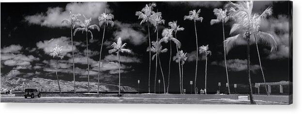 Black And White Acrylic Print featuring the photograph Giant Dandelions. by Sean Davey