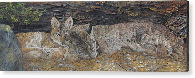 Lynx Acrylic Print featuring the painting Naptime - Canadian Lynx by Johanna Lerwick