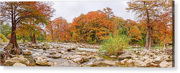 Guadalupe River Acrylic Print featuring the photograph Panorama of Guadalupe River and Bald Cypresses at Gruene - New Braunfels Texas Hill Country by Silvio Ligutti