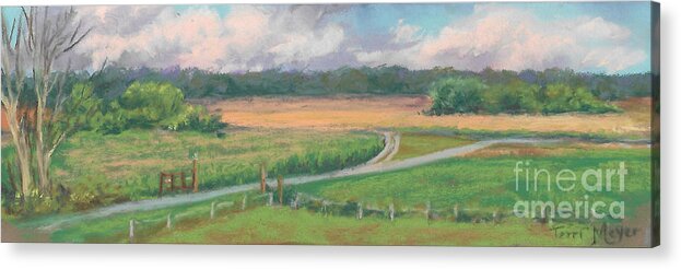 Panoramic Ohio Landscape Painting Of A Wheat Field Acrylic Print featuring the painting The Wheat Field by Terri Meyer